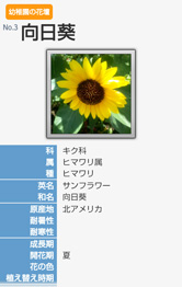 写真登録で植物図鑑らしくなりました！