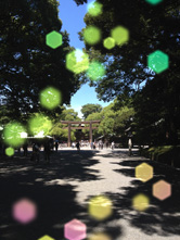 キラキラした光点ボケでかわいい写真に！