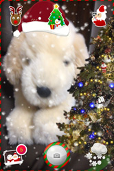 クリスマスアイテムを賑やかに配置!