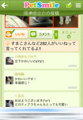 ペット好きの仲間がたくさんいるので、楽しく交流できます!