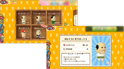 いろんな種類のおじぽっくる。個性的でかわいいですね!
